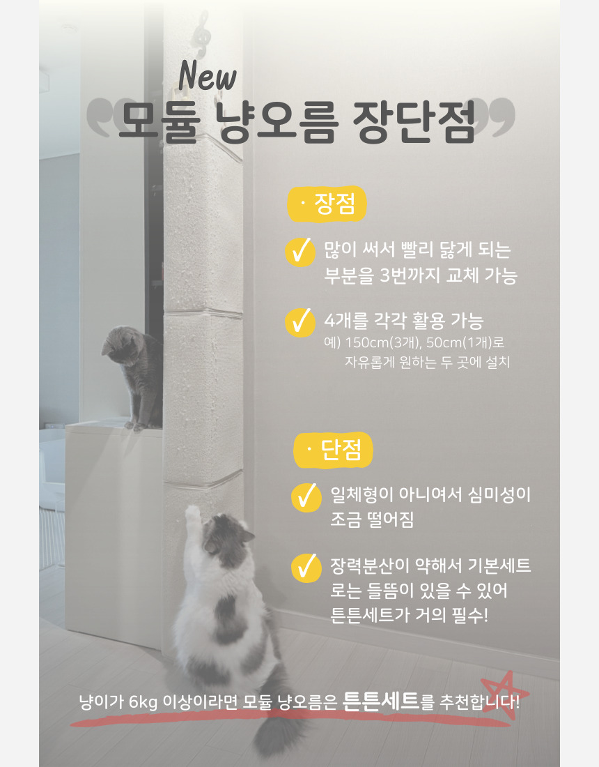 종류 선택 1
